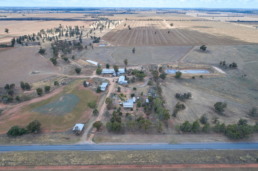 342 Matong North Road, MATONG, NSW 2652