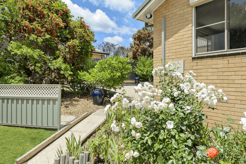 38 Cooney Court, CHARNWOOD, ACT 2615