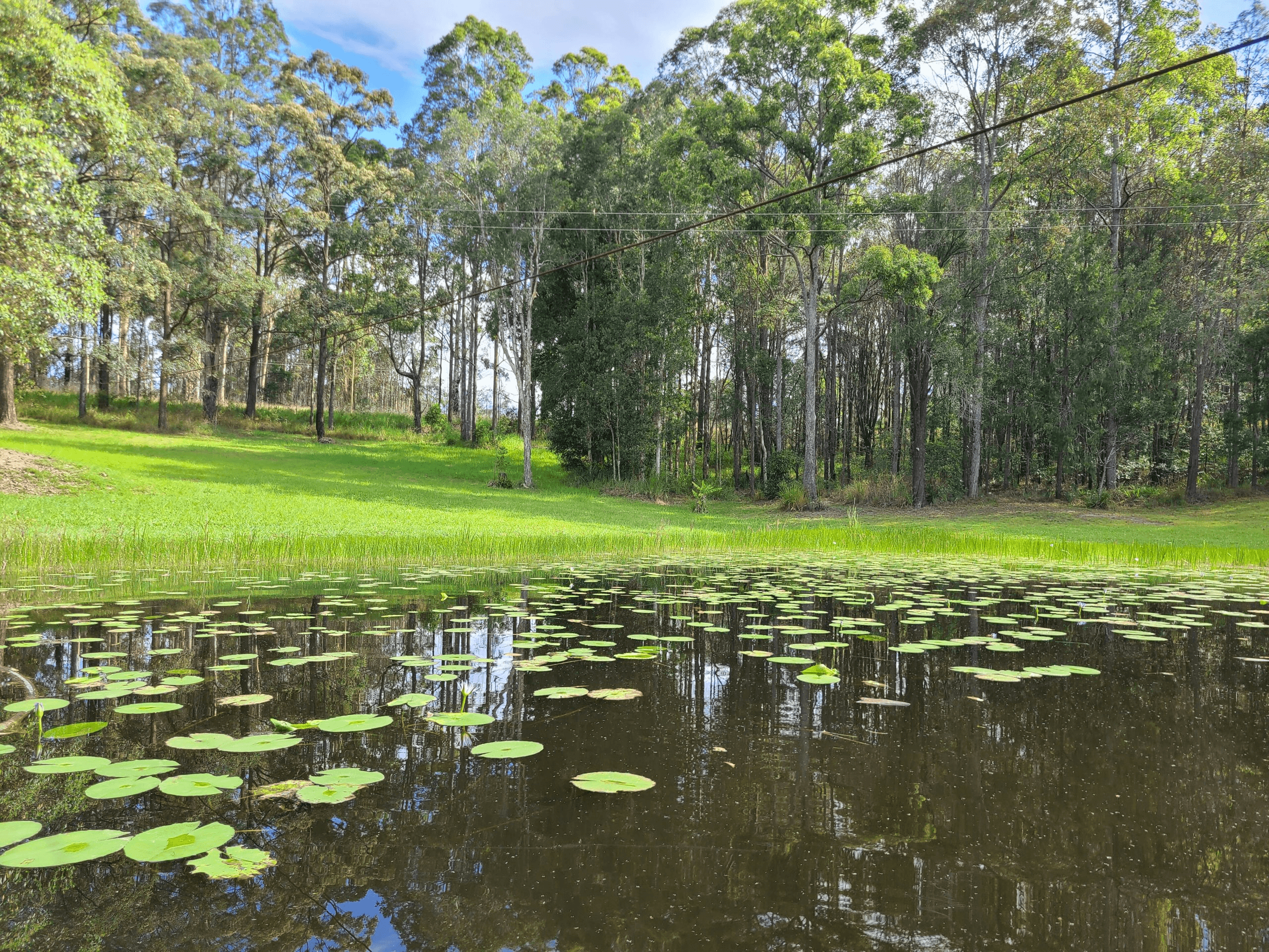 1478 Collombatti Road, Collombatti, NSW 2440