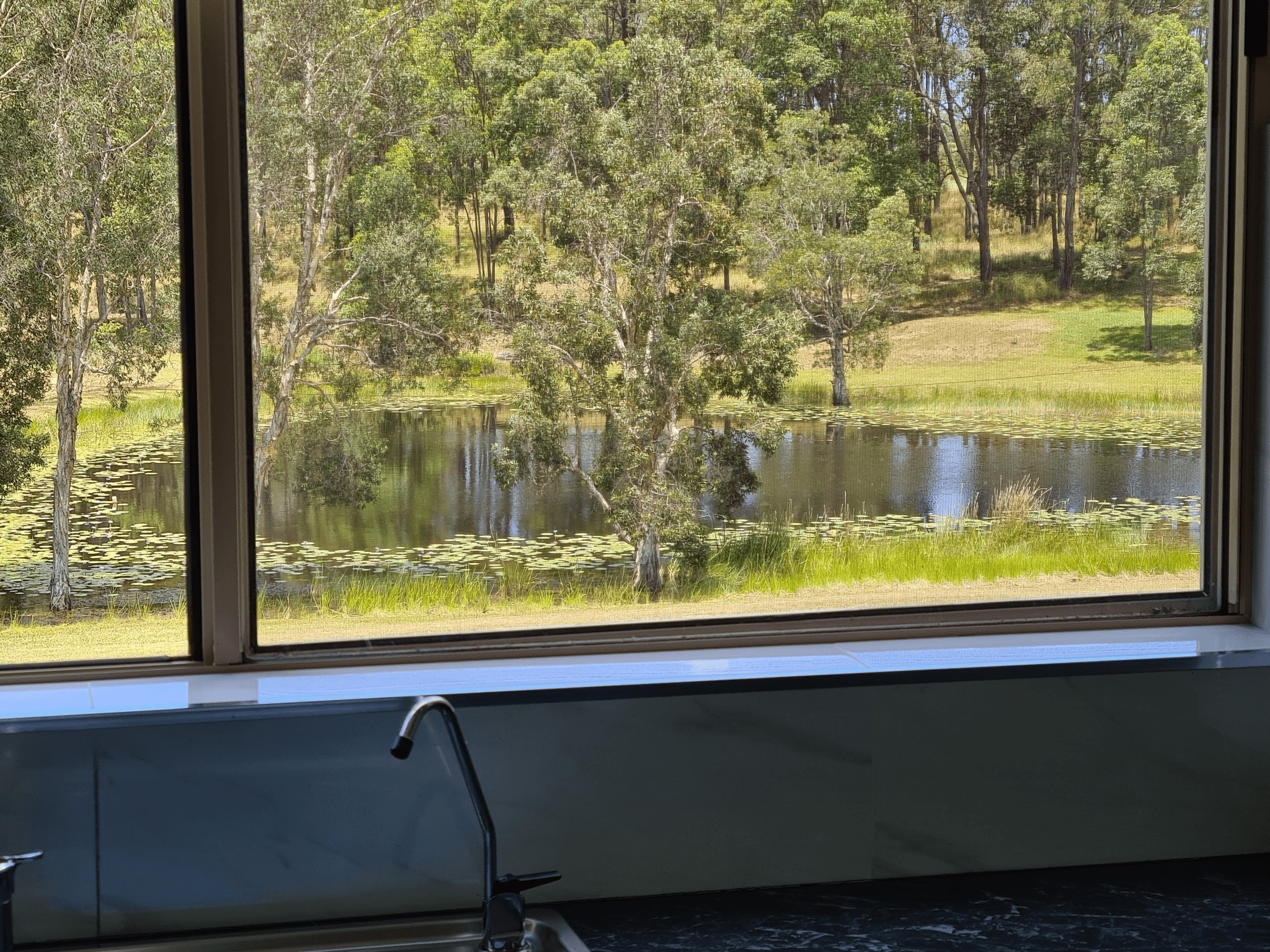 1478 Collombatti Road, Collombatti, NSW 2440