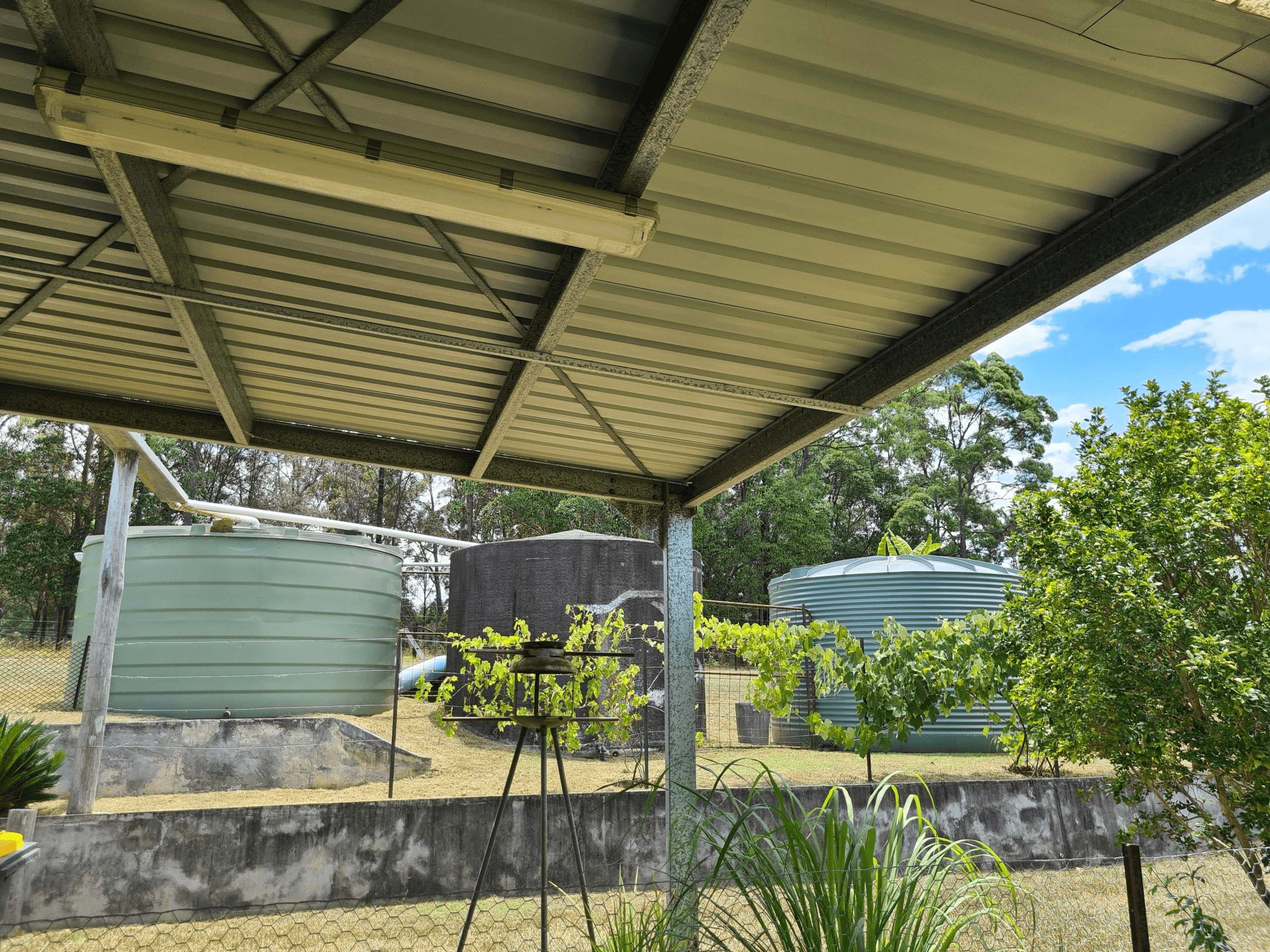 1478 Collombatti Road, Collombatti, NSW 2440