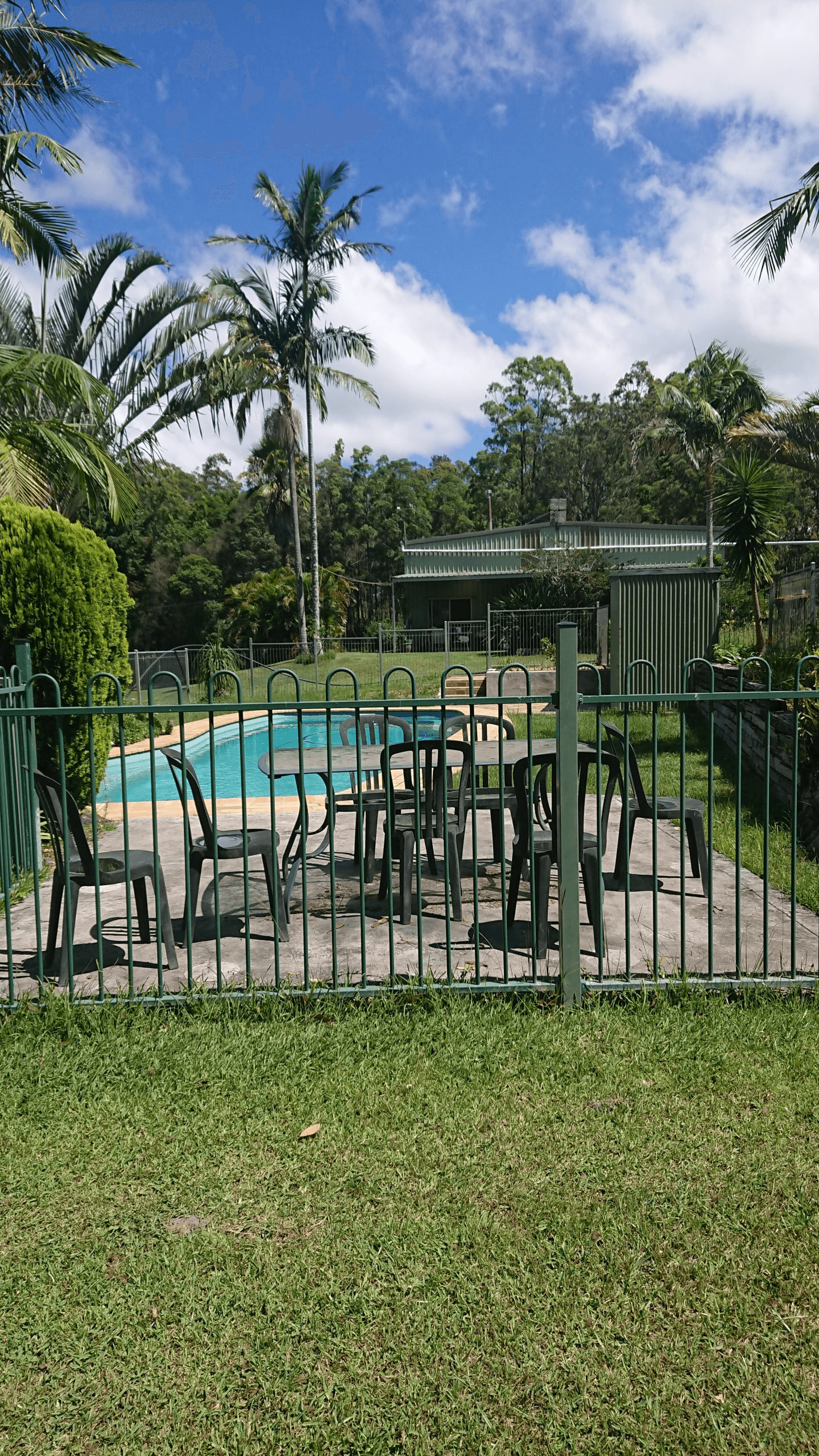 1478 Collombatti Road, Collombatti, NSW 2440