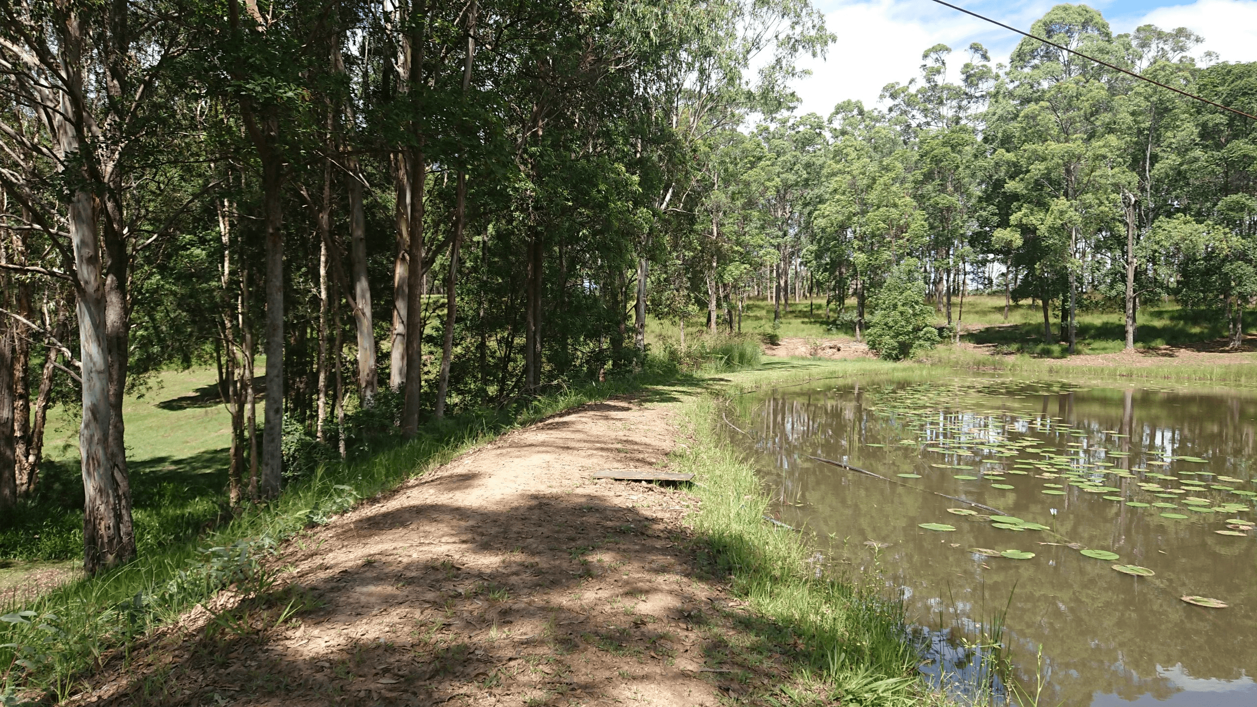 1478 Collombatti Road, Collombatti, NSW 2440