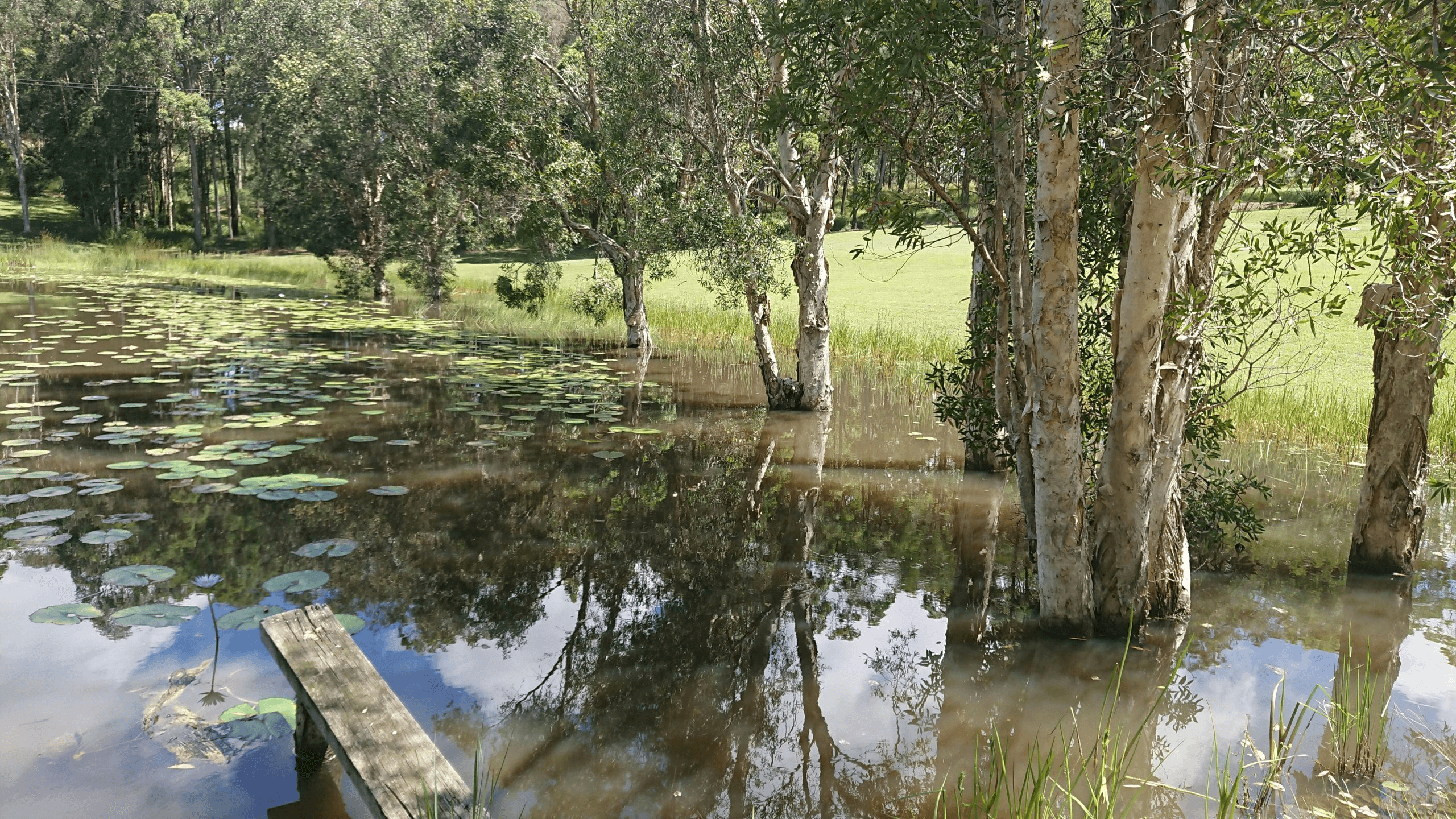 1478 Collombatti Road, Collombatti, NSW 2440