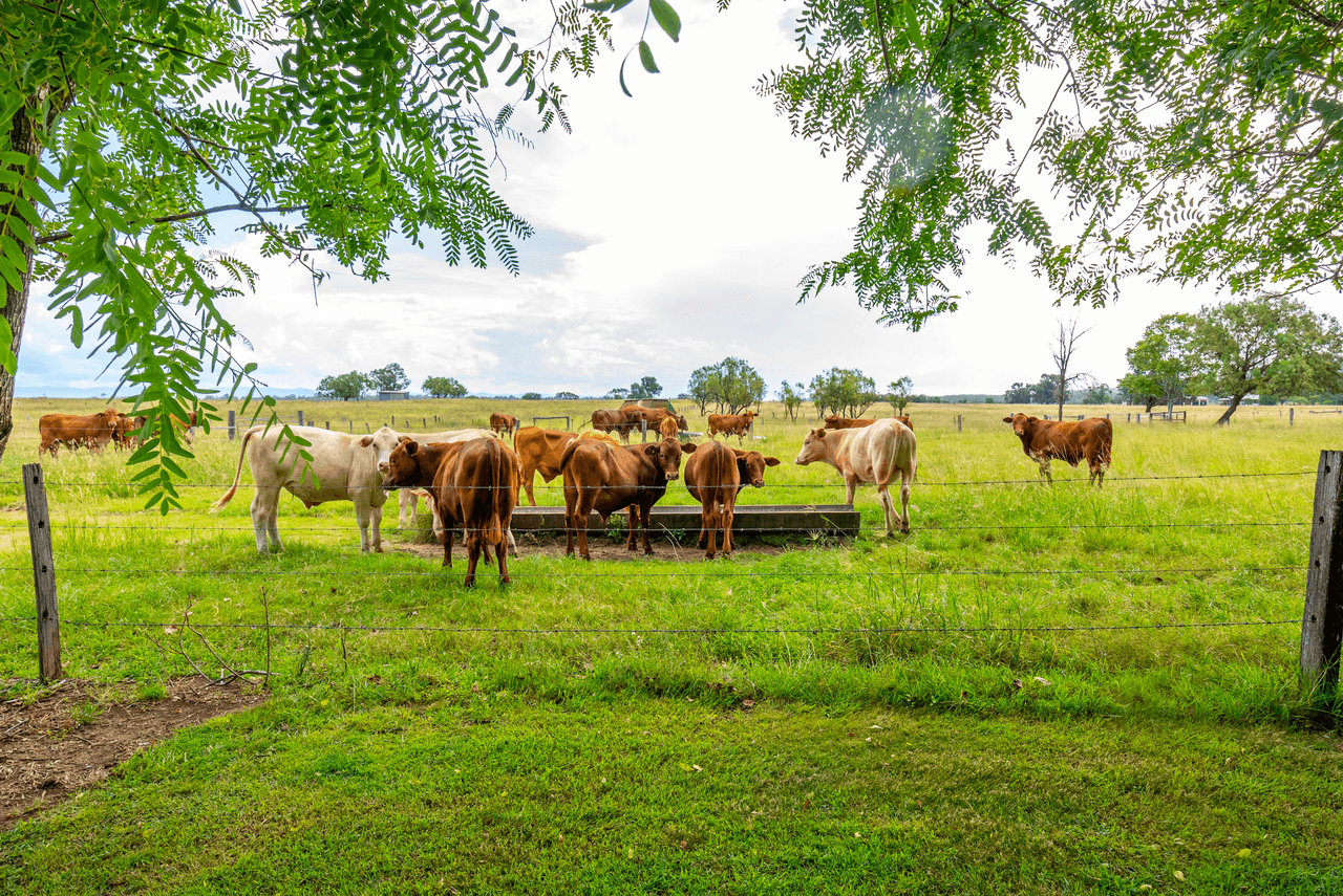 98 Stevens Road, LANEFIELD, QLD 4340