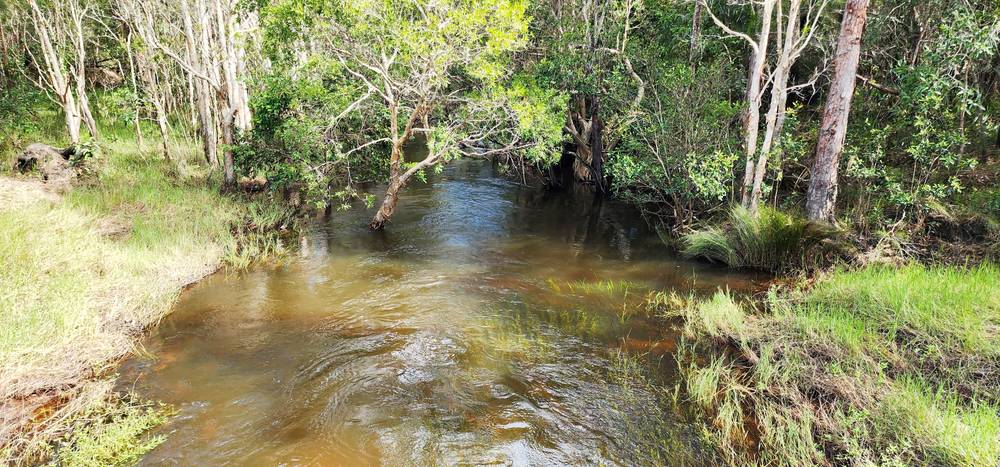 LOT 5 Bluff Rd, Bilyana, QLD 4854