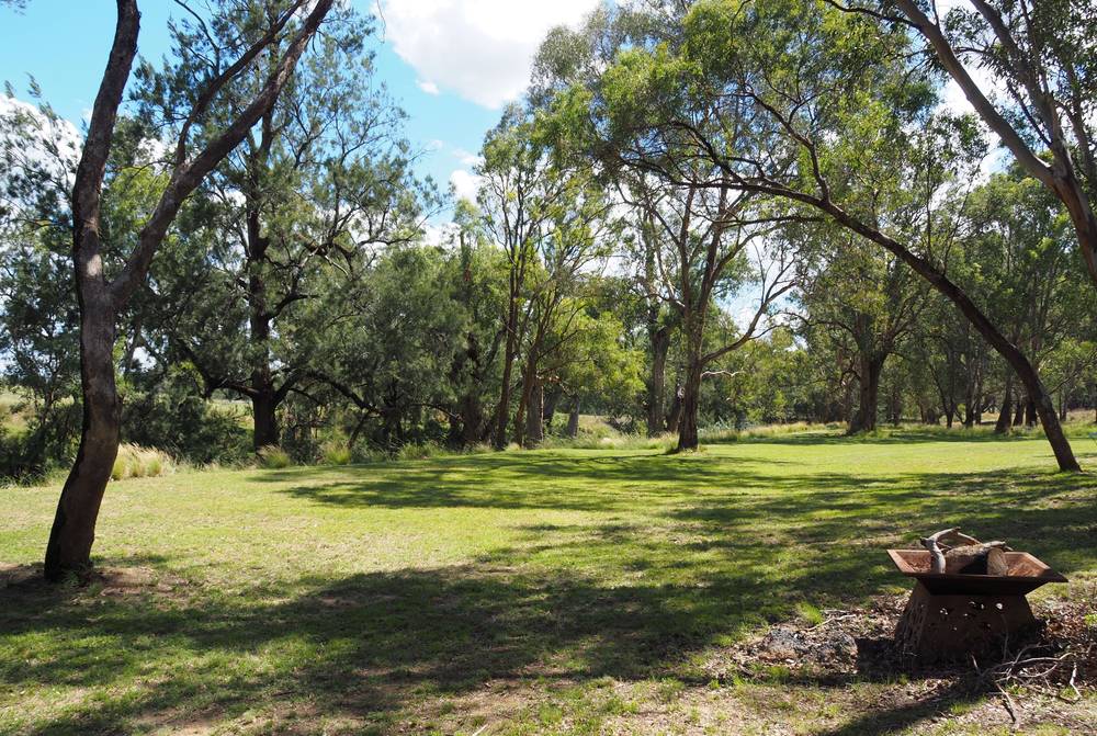 204 Uamby Road, Gulgong, nsw 2852