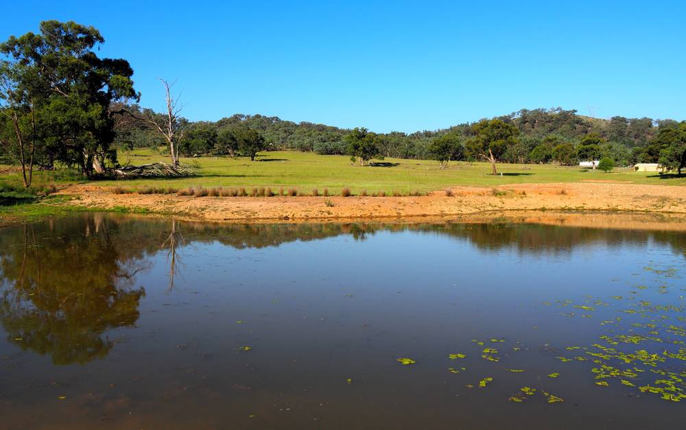 204 Uamby Road, Gulgong, nsw 2852
