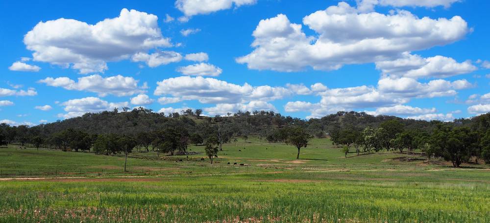 204 Uamby Road, Gulgong, nsw 2852