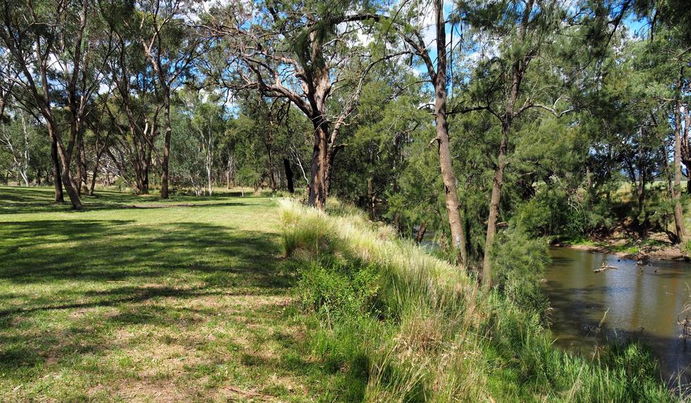 204 Uamby Road, Gulgong, nsw 2852