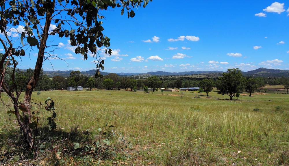 204 Uamby Road, Gulgong, nsw 2852