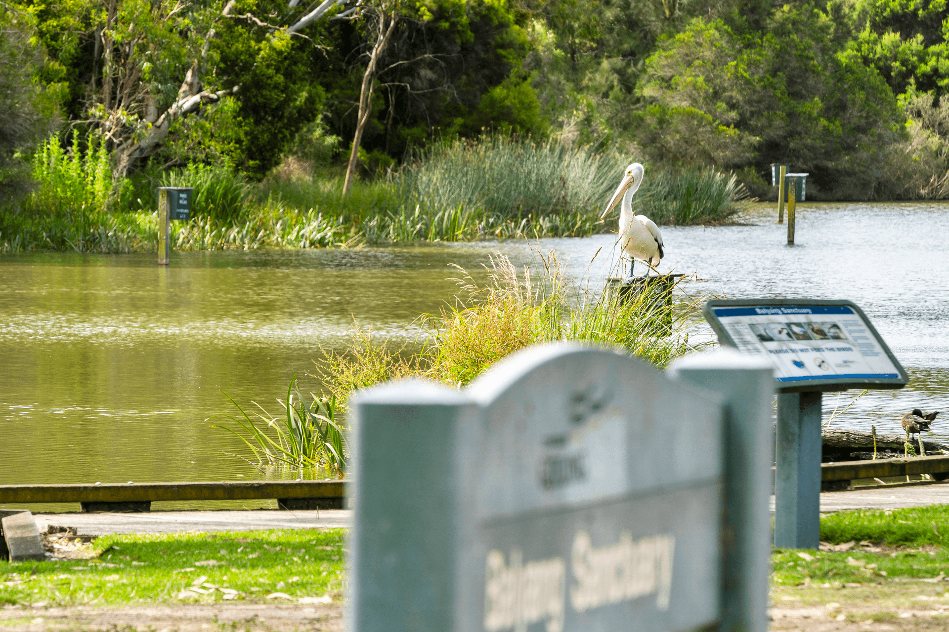 1/45 Barrabool Road, Highton, VIC 3216