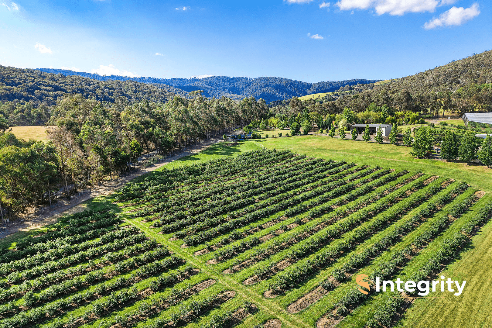 22 Adams Lane, Steels Creek, VIC 3775