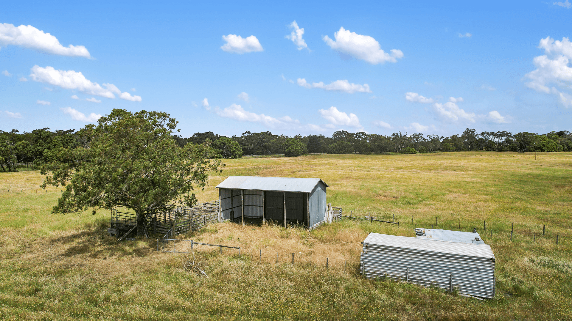 Lot 459 Riddoch Hwy, Dismal Swamp, SA 5291