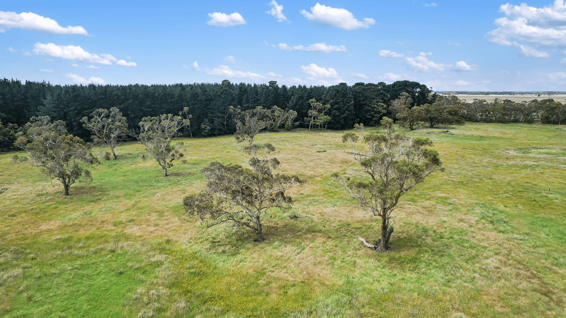 Lot 459 Riddoch Hwy, Dismal Swamp, SA 5291