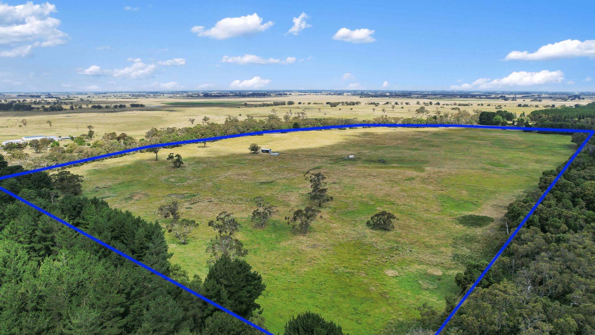 Lot 459 Riddoch Hwy, Dismal Swamp, SA 5291