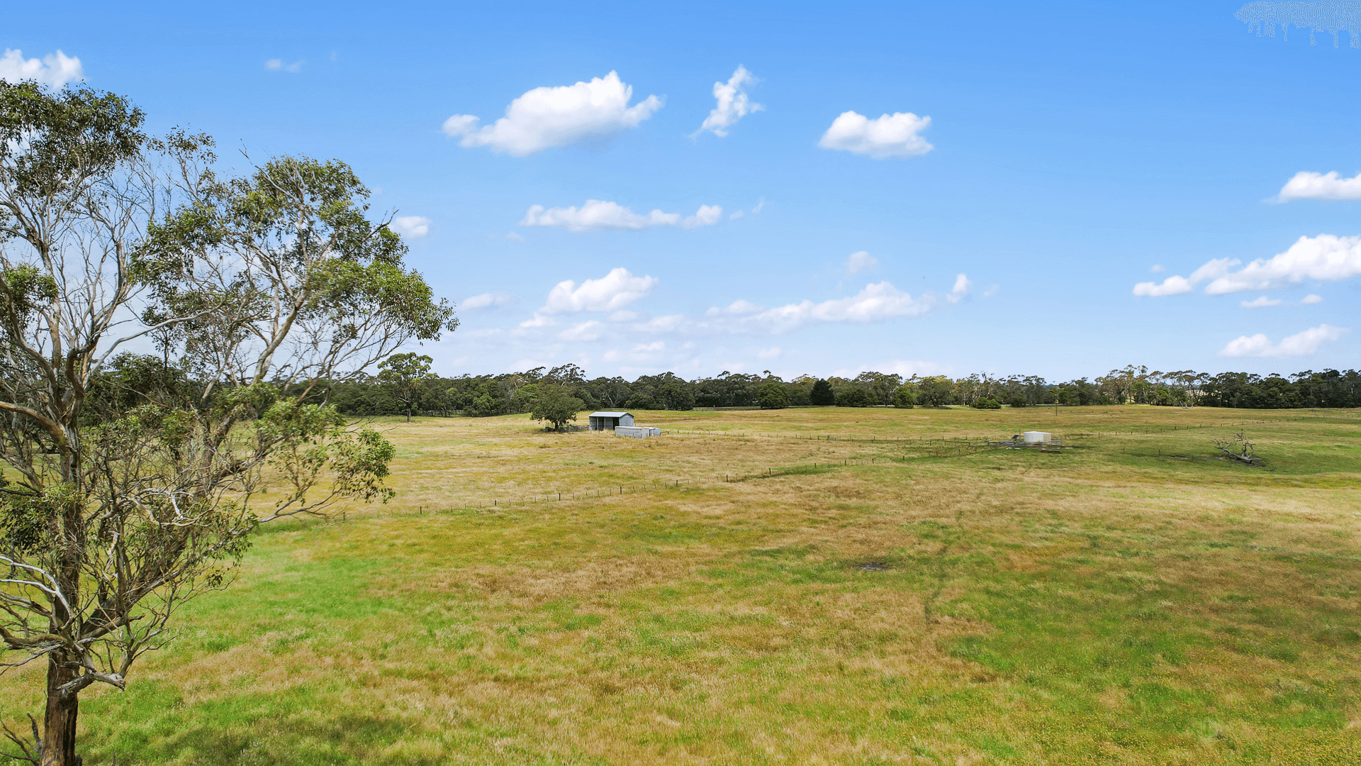 Lot 459 Riddoch Hwy, Dismal Swamp, SA 5291