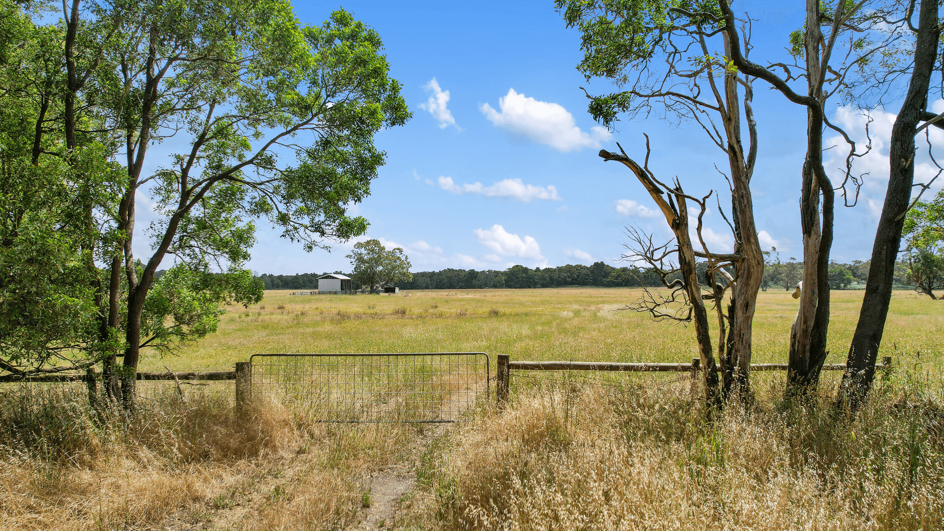 Lot 459 Riddoch Hwy, Dismal Swamp, SA 5291