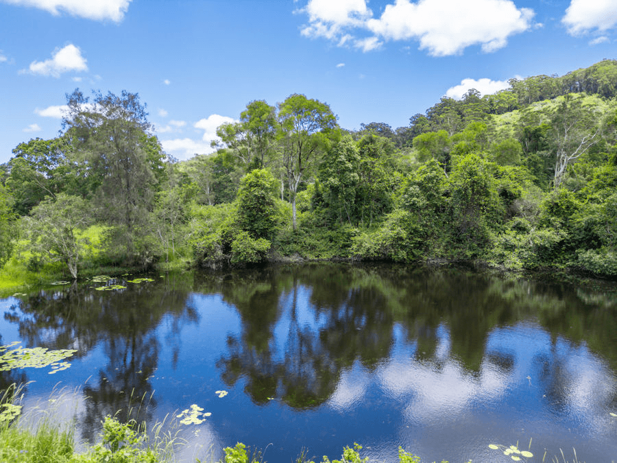 80c Moodys Road, BONVILLE, NSW 2450