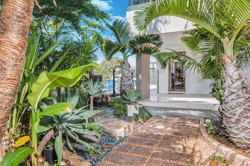 41 Bluejay Street, Burleigh Waters, QLD 4220