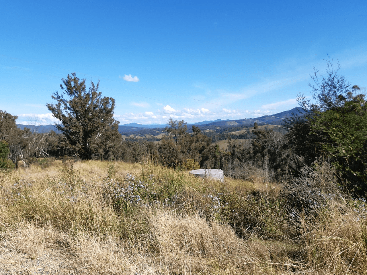 385 Williams Hill Road, YARRANBELLA, NSW 2447