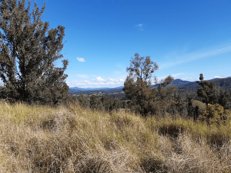 385 Williams Hill Road, YARRANBELLA, NSW 2447