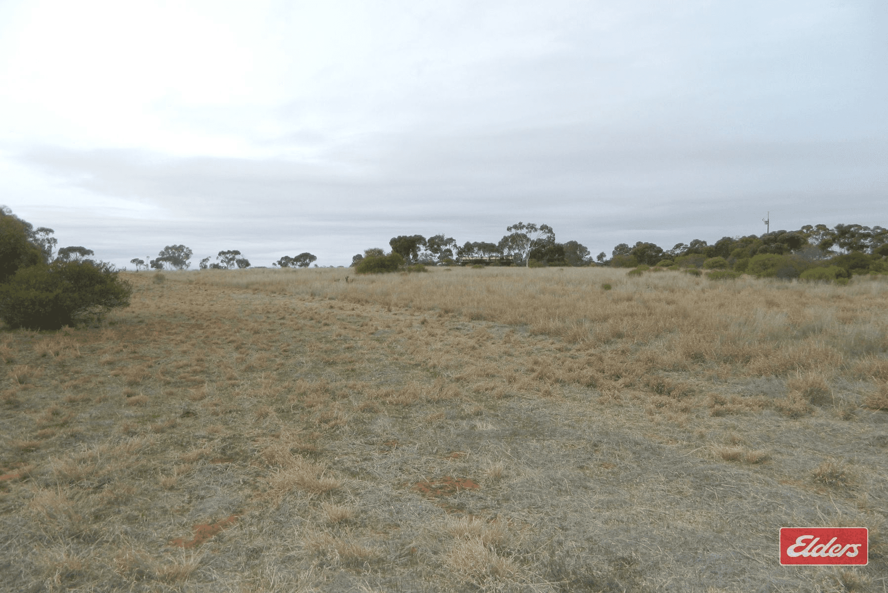 175 Dows Road, Owen, SA 5460