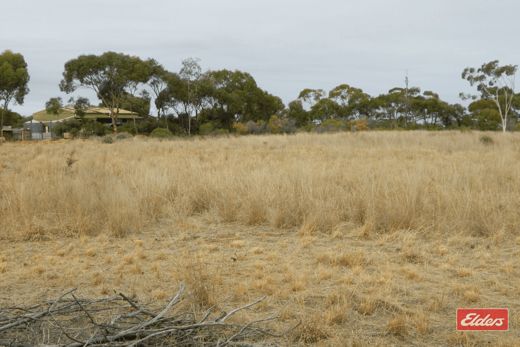 175 Dows Road, Owen, SA 5460