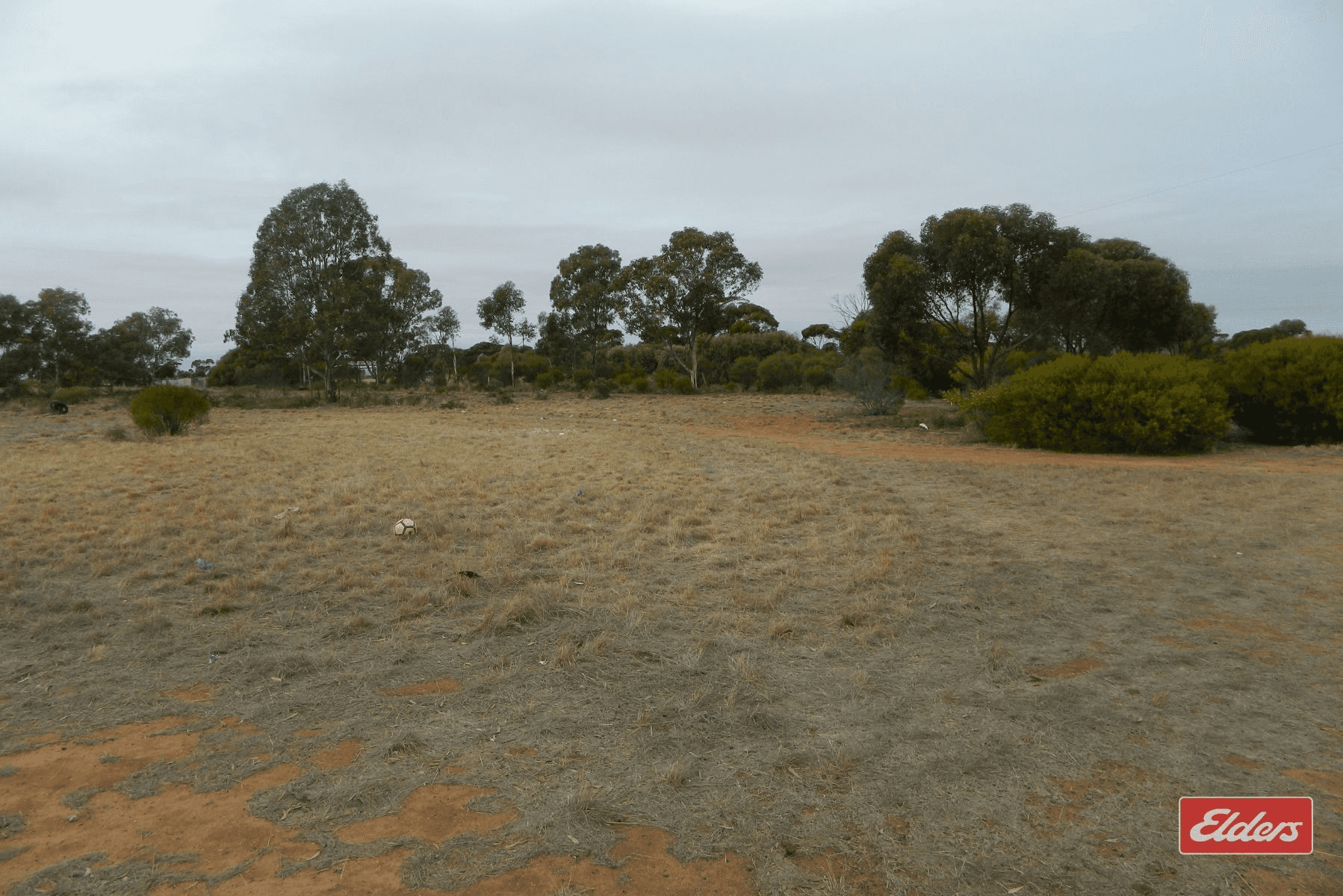 175 Dows Road, Owen, SA 5460