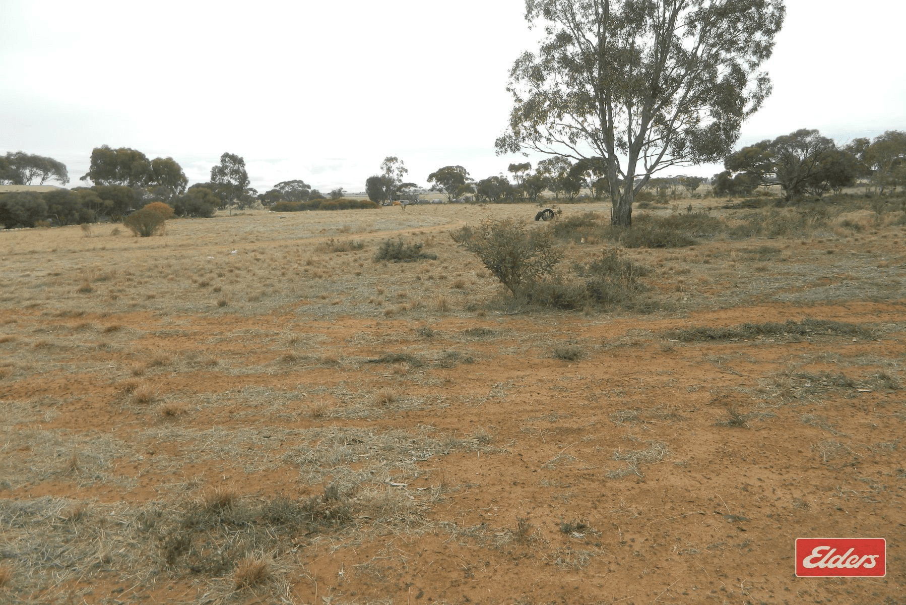 175 Dows Road, Owen, SA 5460