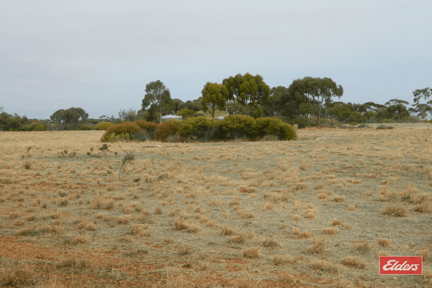 175 Dows Road, Owen, SA 5460