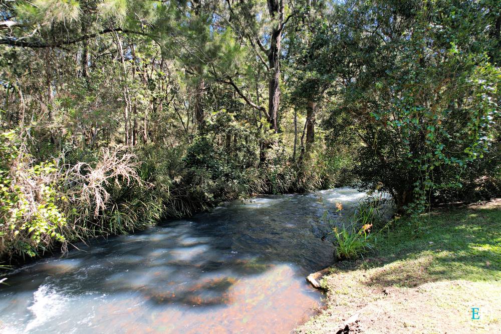 29 Gordon Earl Drive, MILLSTREAM, QLD 4888