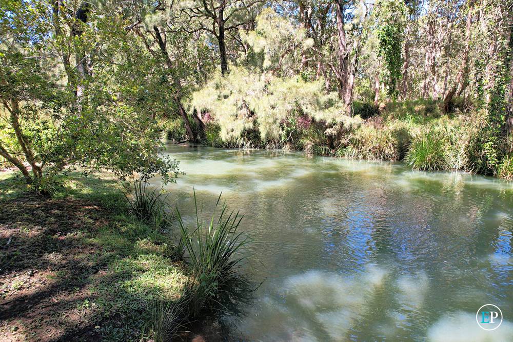 29 Gordon Earl Drive, MILLSTREAM, QLD 4888