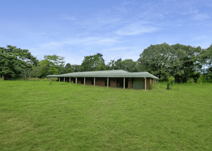 499 Mena Creek Road, MENA CREEK, QLD 4871