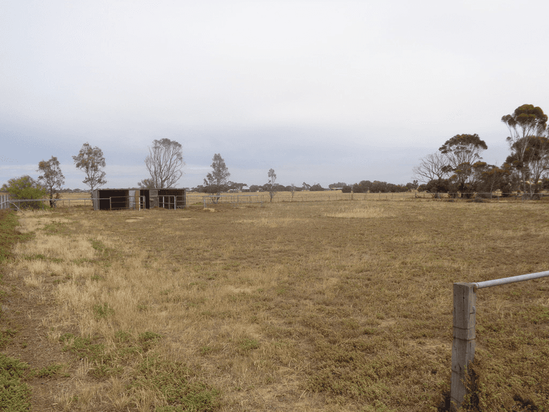 61 WILLIAMS Road, TWO WELLS, SA 5501