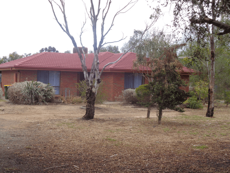 61 WILLIAMS Road, TWO WELLS, SA 5501