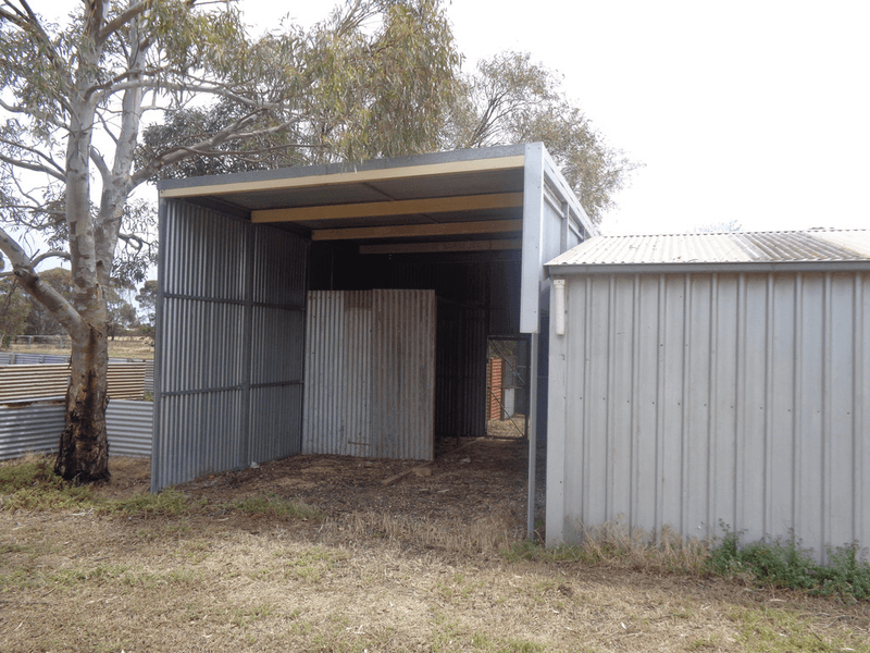 61 WILLIAMS Road, TWO WELLS, SA 5501