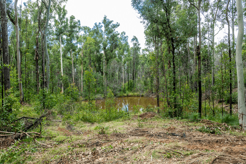 484 Glens Creek Road, NYMBOIDA, NSW 2460