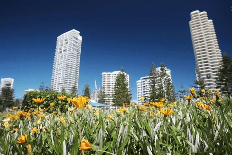 7/42 Surf Parade, Broadbeach, QLD 4218