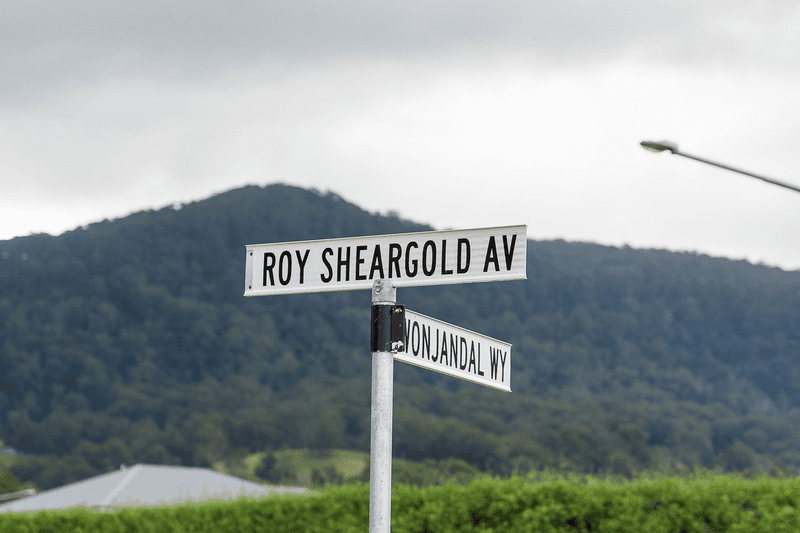 48 Roy Sheargold Ave, WONGAWILLI, NSW 2530