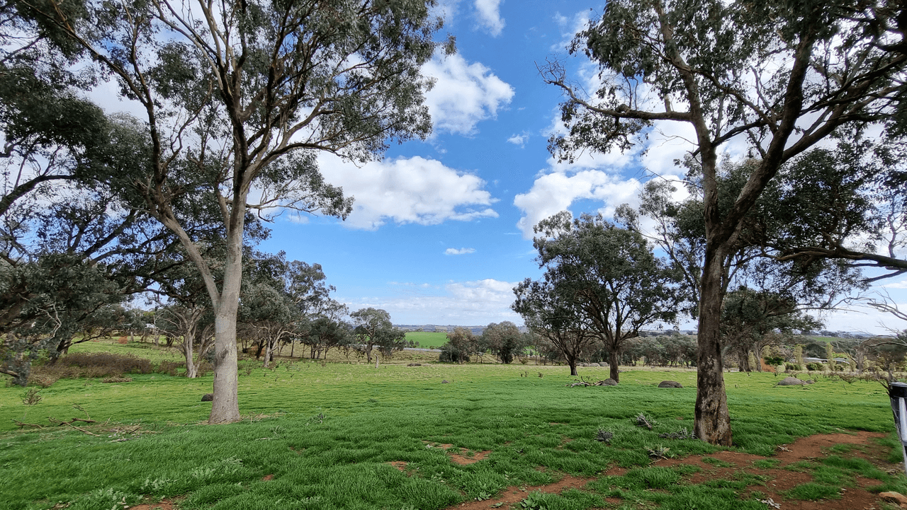 18 Lacey Place, YOUNG, NSW 2594
