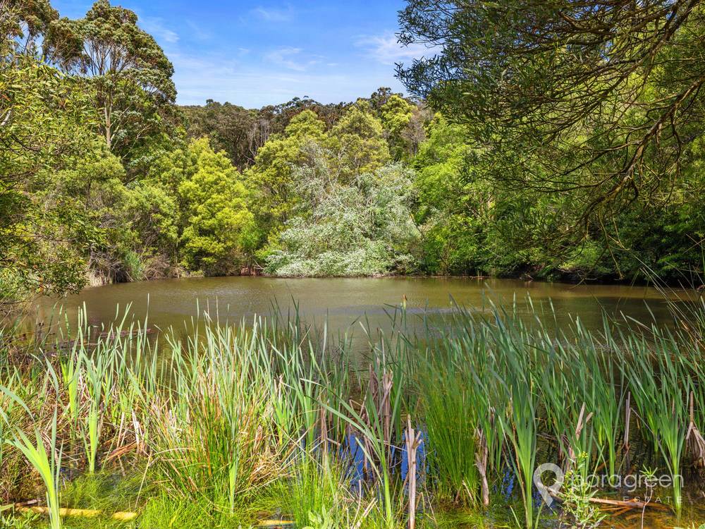 85 Mount Nicoll Road, FISH CREEK, VIC 3959