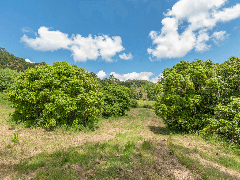 263 Oakey Creek Road aka 281 Oakey Creek Road, GEORGICA, NSW 2480