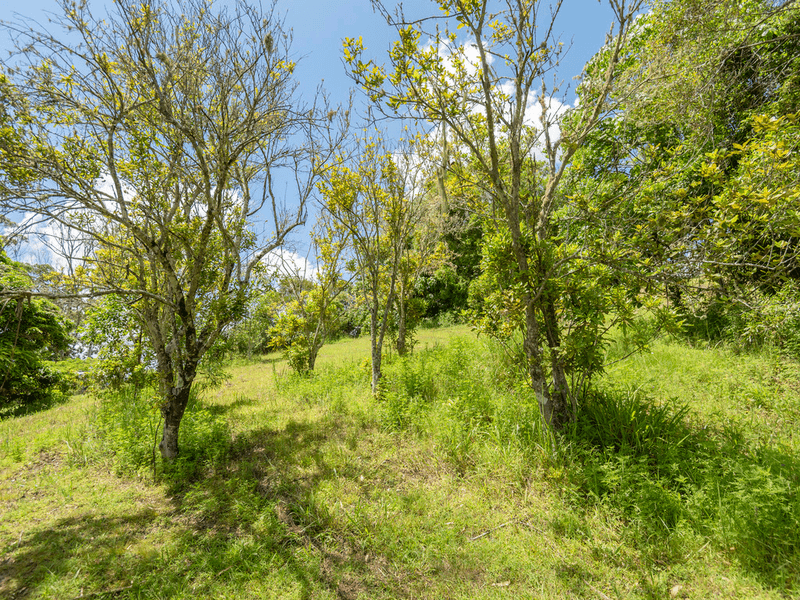 263 Oakey Creek Road aka 281 Oakey Creek Road, GEORGICA, NSW 2480