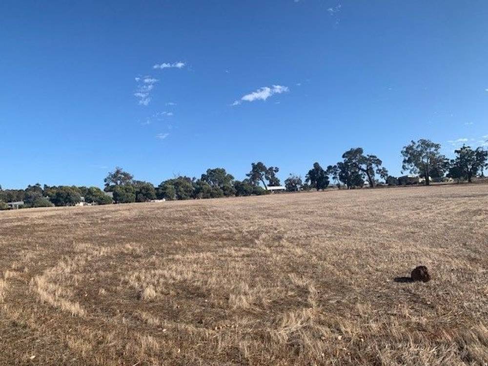 8 Boodja Road, Wundowie, WA 6560