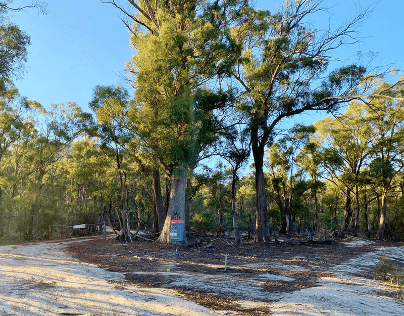 Lot 1 Leona Rd, AVOCA, TAS 7213