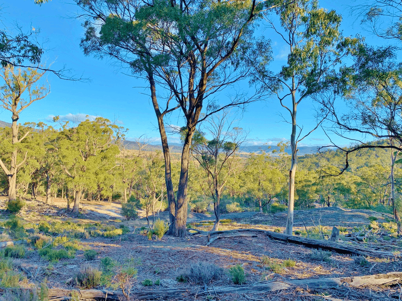 Lot 1 Leona Rd, AVOCA, TAS 7213