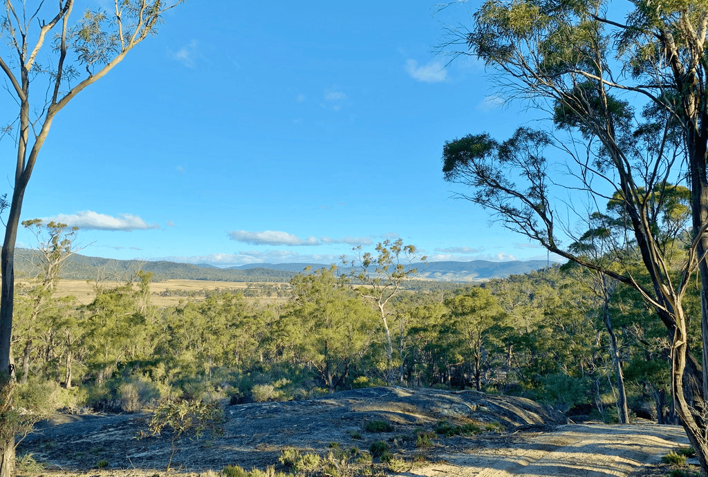 Lot 1 Leona Rd, AVOCA, TAS 7213