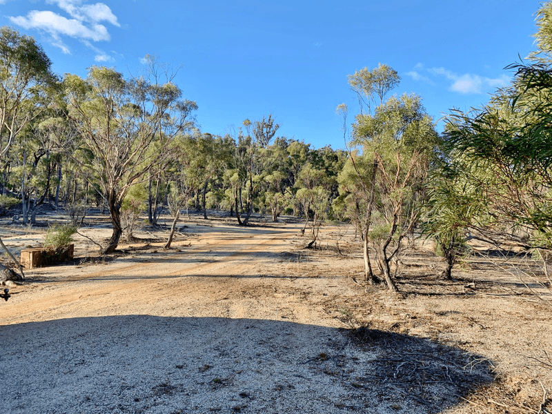 Lot 1 Leona Rd, AVOCA, TAS 7213