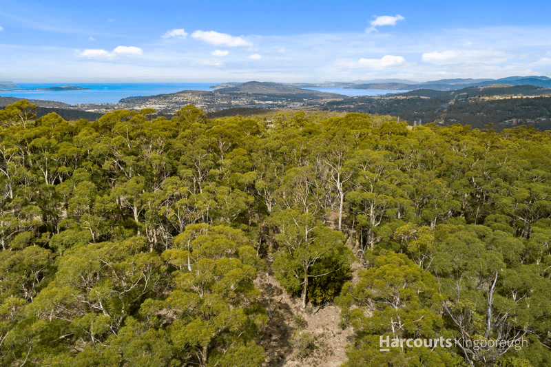 651 Summerleas Road, FERN TREE, TAS 7054